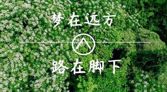 上?？婆d儀器